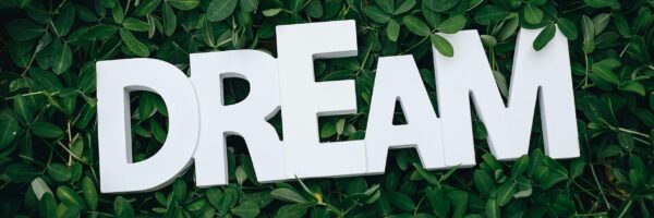 Word 'Dream' in white letters on lush green leaves, symbolizing growth and inspiration.